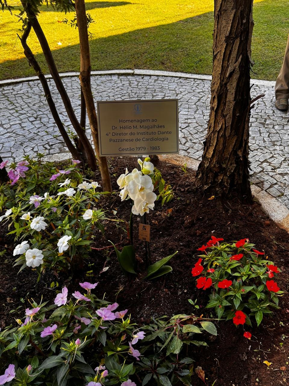 Placa de homenagem a Dr. Hélio M. Magalhães, 4º Diretor do IDPC, gestão 1979-1983, no jardim do Instituto